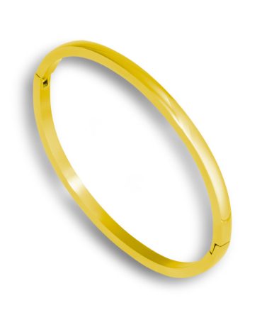 Daily Bangle