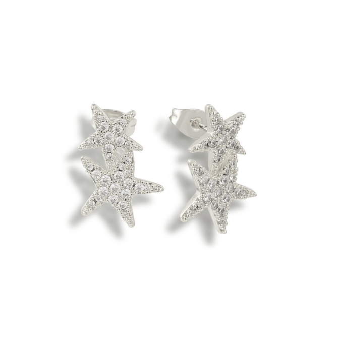 Hidden in the Sand Earrings - Image 3