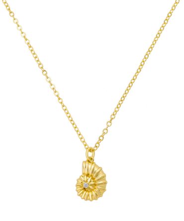 Ocean's Secret Necklace