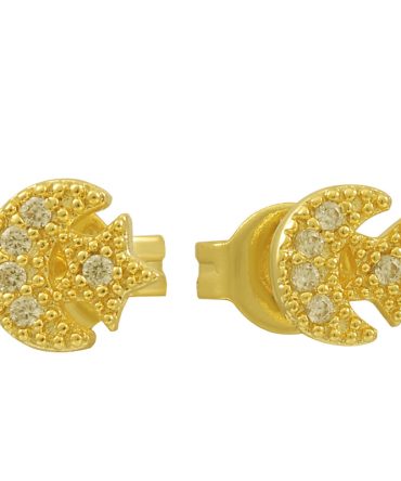 Star And Crescent Earrings