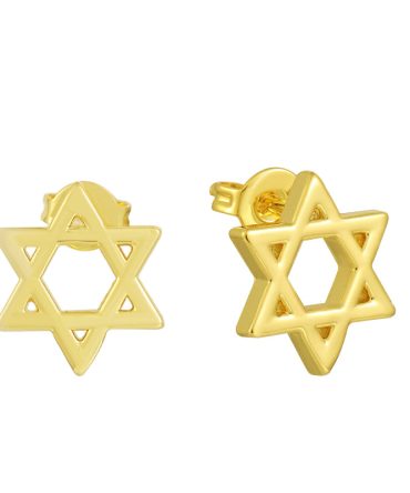 Star of David Earrings