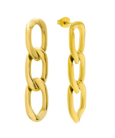 Money Earrings