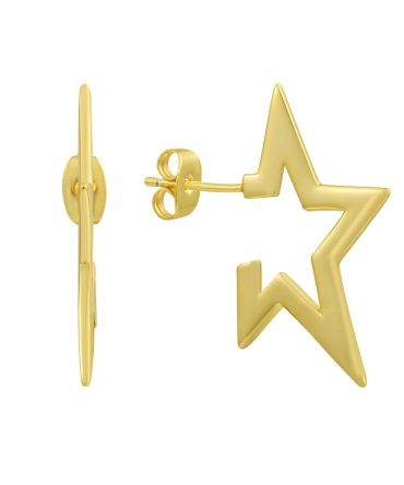 Popstar Earrings