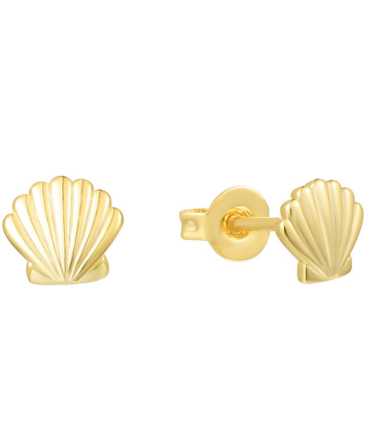 Seashell Earrings